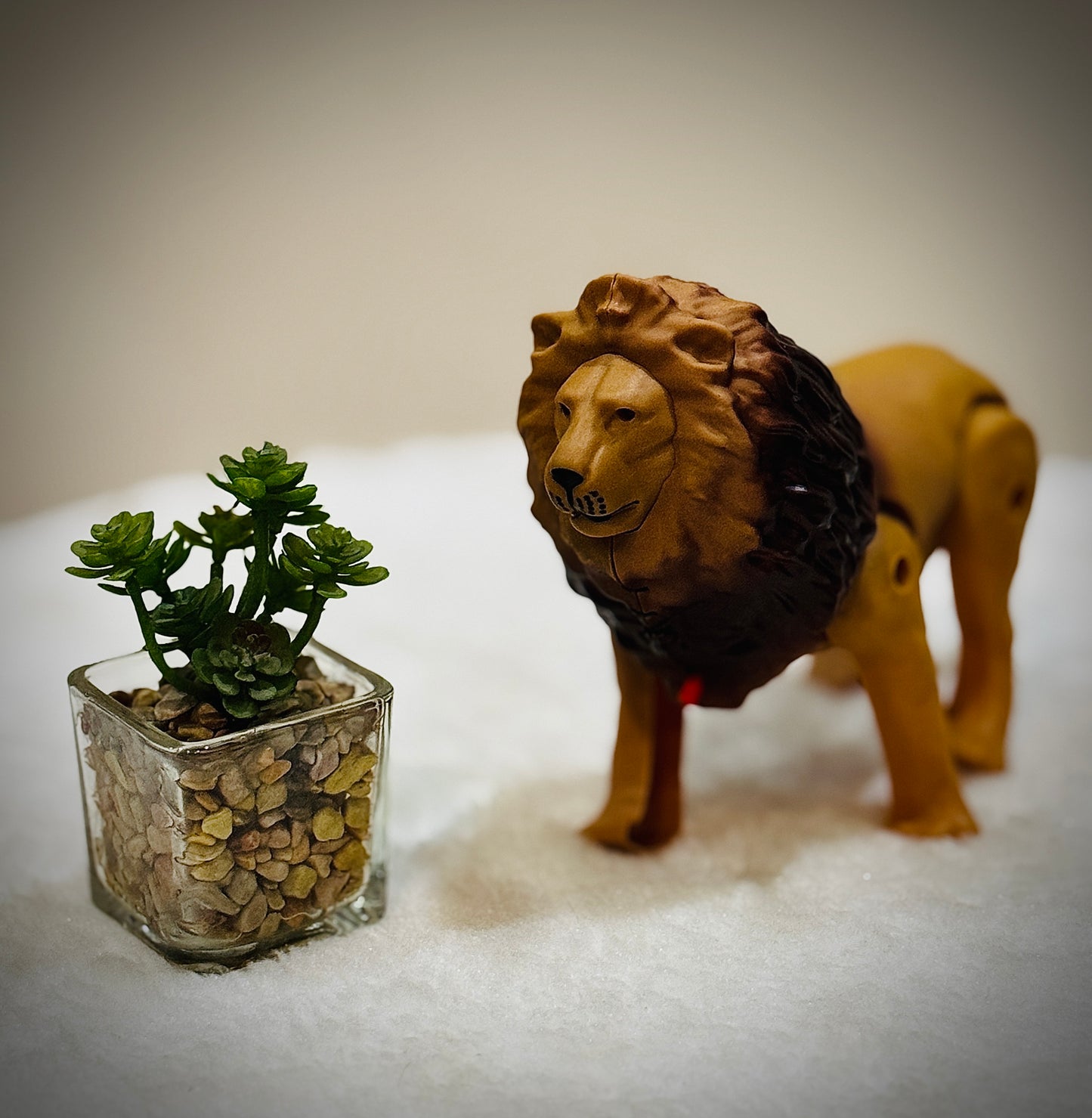 Cartoon Lion Toy!