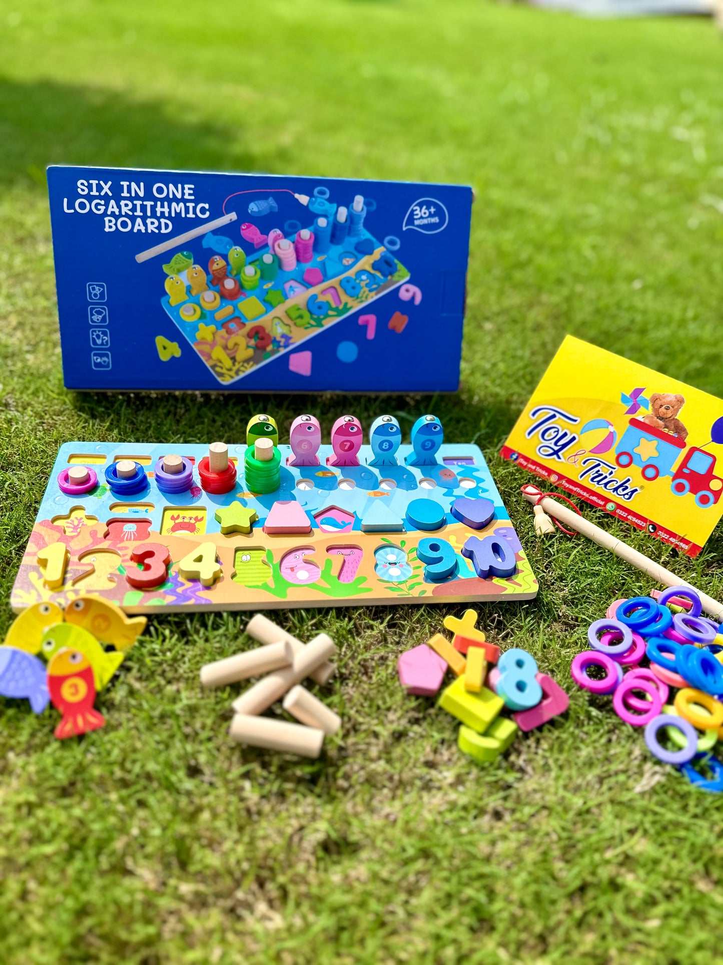 Montessori Educational Wooden Toy