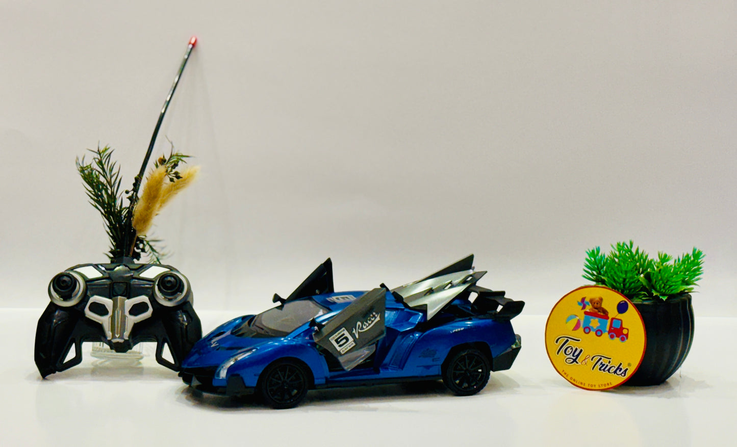 1:16 Scale RC Racing Sports Mood Car
