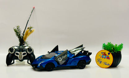 1:16 Scale RC Racing Sports Mood Car